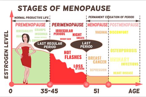 Stages and symptoms of menopause | Education Illustrations ~ Creative ...