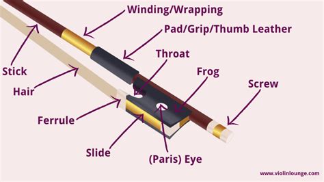 Violin Bow Parts: anatomy, function and bow division - Violin Lounge