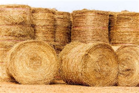 Image of Large hay bales delivered and stacked for drought relief ...