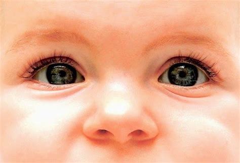 Baby Eye Color: What Color Eyes Will My Baby Have?