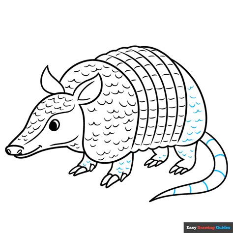 How To Draw A Armadillo Printable Step By Step Drawing Sheet ...