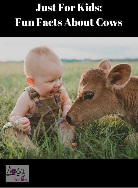 Just For Kids: Fun Facts About Cows