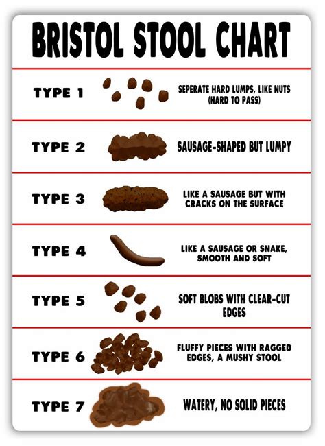 Bristol Stool Chart Printable - Printable Templates Wonderland