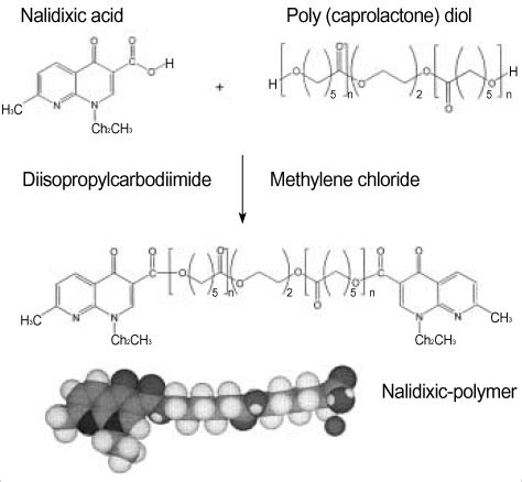 Synthesis and 3 dimension structure of nalidixic-polymer from nalidixic ...