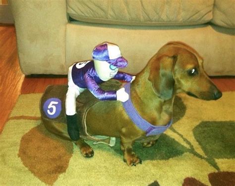 Wiener Dogs in Halloween costumes — that’s one of our favorite things ...