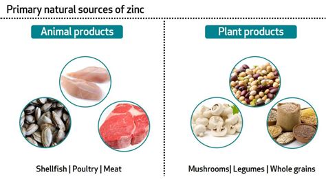 Benefits Of Vitamin C And Zinc | Sources Of Vitamin C | Bioanalyt