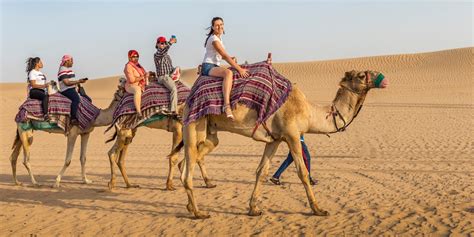 Camel Riding in Dubai: First Timer’s Guide - Things To Do In Dubai