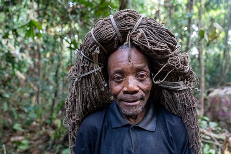 Mbuti: Congo’s Last Forest Pygmies Persist Despite Violence and Loss ...