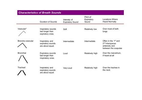 Characteristics of Breath Sounds