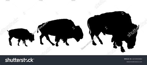 Buffalo Herd Silhouette: Over 306 Royalty-Free Licensable Stock ...