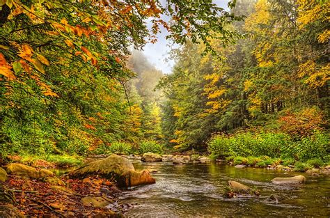 Autumn at Pine Creek in Tioga County, PA Photo by Brenadette ...