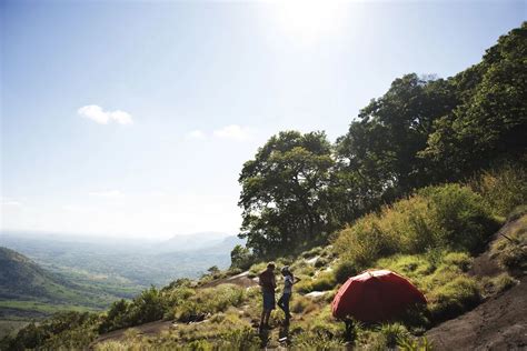 Scientist spots something otherworldly on 3,600 ft. mount lico while ...