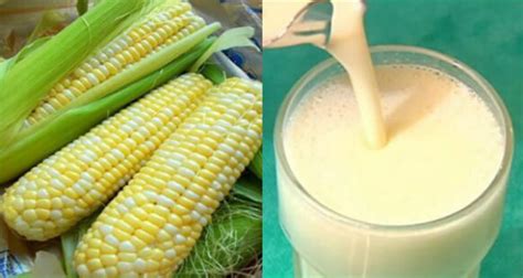 Corn Juice - Beverage That Destroys Bad Cholesterol and Fights Aging