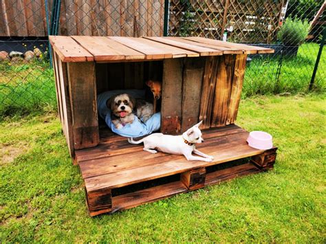 15 Free DIY Pallet Dog House Plans - DIY to Make