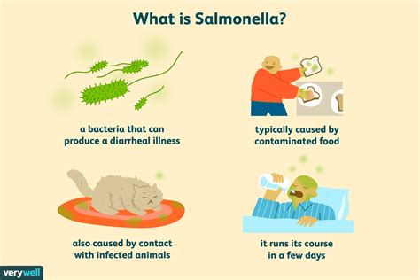 What Are The Symptoms Of Salmonella Poisoning In Dogs