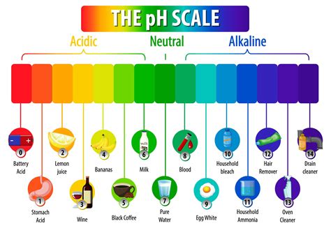 The pH Scale diagram on white background 1845080 Vector Art at Vecteezy