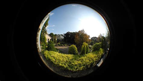 5 Best Nikon Fisheye Lenses