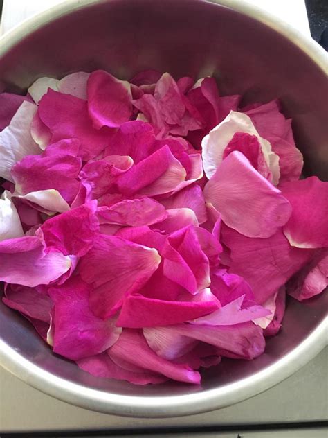 Local Ingredient: Rose petals - The Martha's Vineyard Times