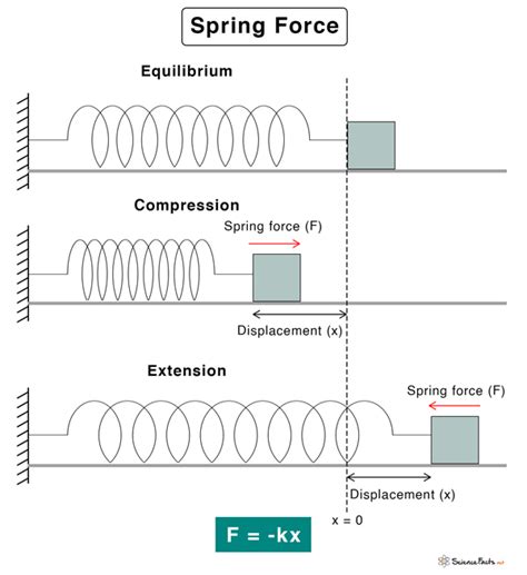 Spring Force: Definition, Formula, and Examples