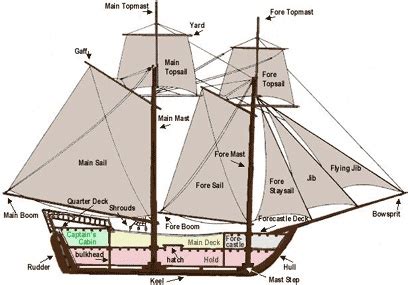 diagram of pirate ship | Sailing ships, Sailing, Pirates