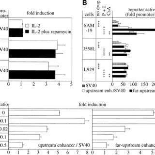 Structure and cis-acting function of transgenic human perforin genes in ...