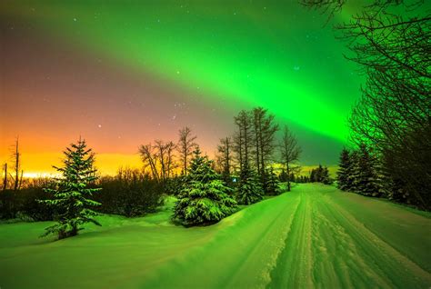 lights, Aurora, Borealis, Trees, Stars, Road, Sky, Snow, Winter ...