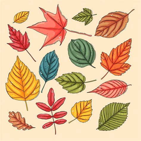 Conjunto de hojas de otoño hojas de árboles de colores | Vector Premium