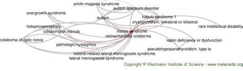 Momo Syndrome disease: Malacards - Research Articles, Drugs, Genes ...