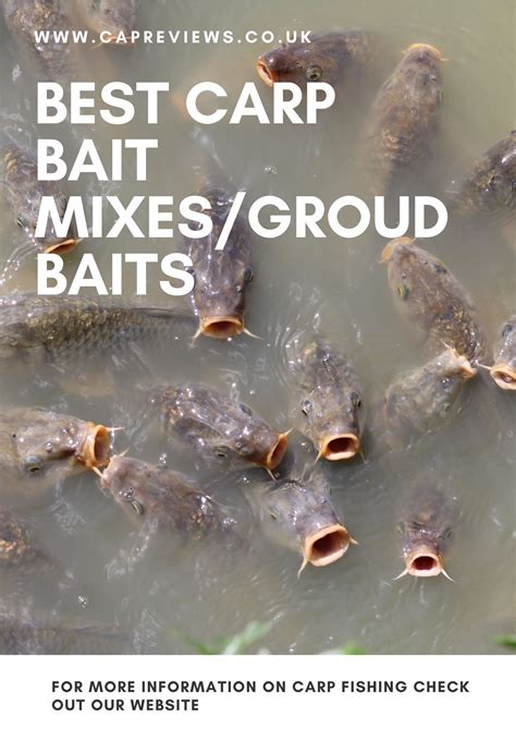 Best carp bait mixes/groundbaits | Best carp bait, Carp fishing bait ...