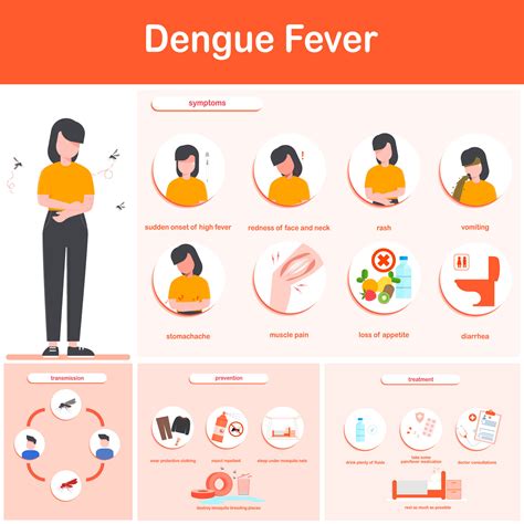 Vector illustration infographics dengue fever symptoms, transmission ...