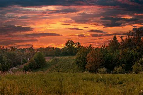 Green Grass Field during Sunset · Free Stock Photo