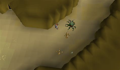 File:Kalphite cave safe spot.png - OSRS Wiki