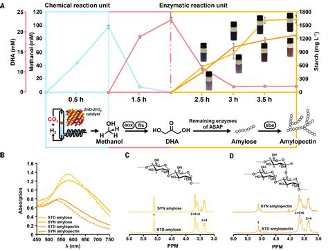 Cell-free chemoenzymatic starch synthesis from carbon dioxide | Science