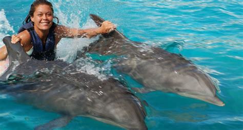 Swim with Dolphins Oahu Hawaii & Other Programs (800) 667-5524