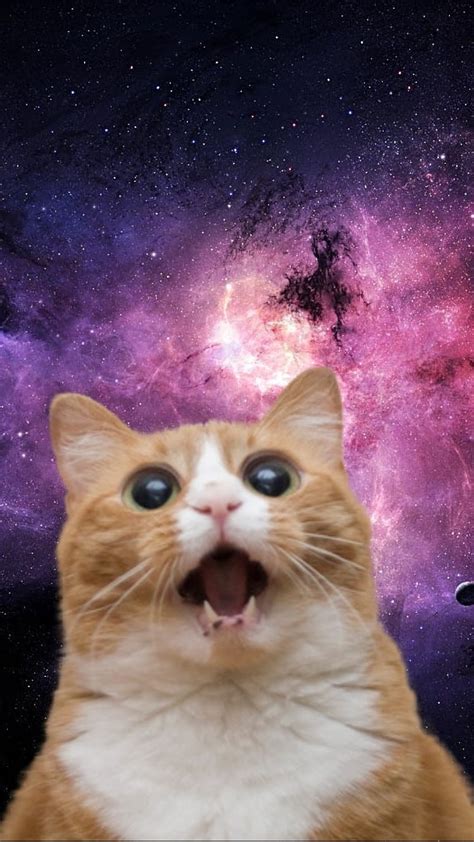 Space Cat Wallpaper 1920X1080