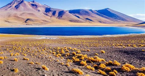 Atacama Desert 2020: Top 10 Tours & Activities (with Photos) - Things ...