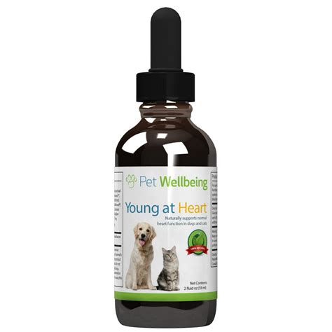 Pet Wellbeing - Young at Heart for cats - Natural Support For Your Cats ...