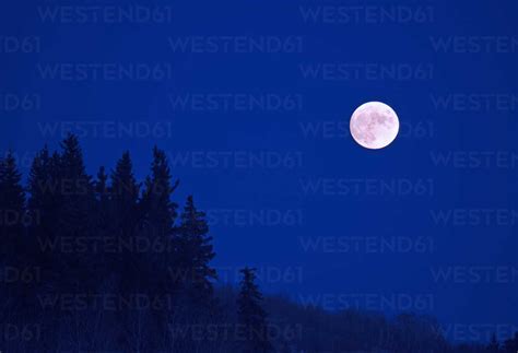 A full moon in a dark blue night sky. stock photo