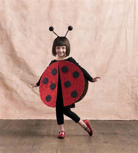 13 Simple DIY Ladybug Costume Ideas to Make for Halloween