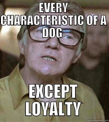 Loyalty Dog - quickmeme