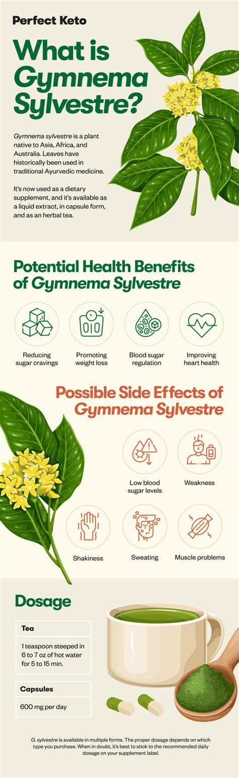 Gymnema Sylvestre: Uses, Benefits, Side Effects, and More - Perfect Keto