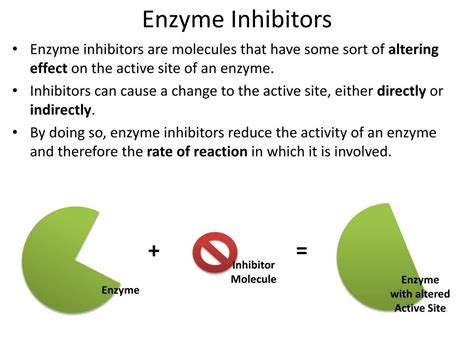 PPT - 2.8 Enzyme Inhibition PowerPoint Presentation, free download - ID ...