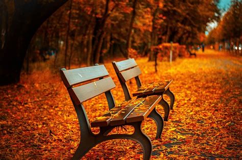 70,000+ Free Autumn & Fall Images - Pixabay