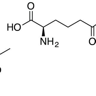 6: The core structure of the cephalosporin antibiotics, 7-ACA (10) and ...