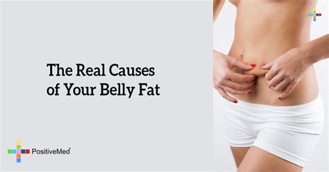 The Real Causes of Your Belly Fat