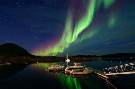 Northern Lights - Senja, North Norway | Aurora borealis northern lights ...