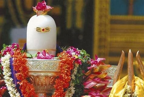 Shivling Puja Vidhi These 5 Things Should Never Be Offered To Lord ...