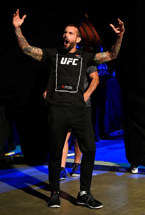 CM Punk fight: How can I watch the former WWE star's UFC 225 fight and ...