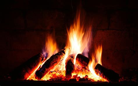 4 Benefits of Burning Firewood | M&A All Seasons Tree Service | Wood