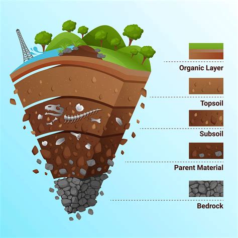 Soil Formation - Soil Profile, Classification and FAQs (2022)